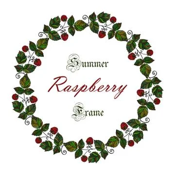 Vector colored raspberry frame Stock Illustration