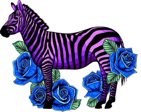 Vector colored zebra standing isolated on white background digital illustration Illustrazione stock