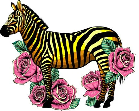 Vector colored zebra standing isolated on white background digital illustration Stock Illustration