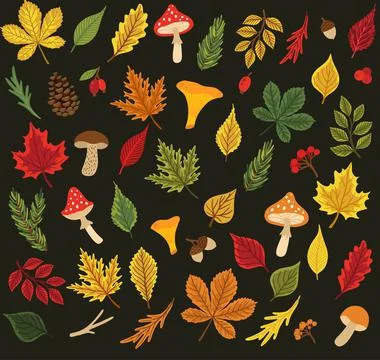 Vector colorful autumn seamless pattern with fall leaves, cone and mushrooms. Stock Illustration