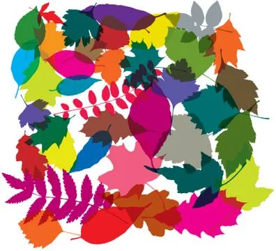 Vector colorful background of leaves イラスト素材