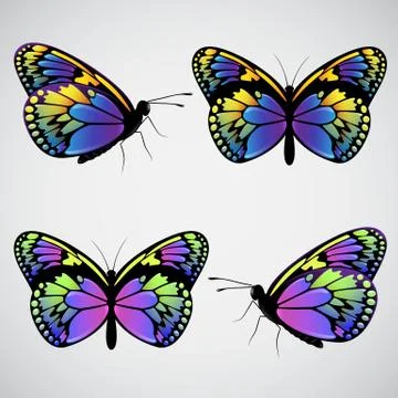 Vector colorful butterflies Stock Illustration