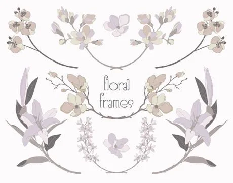 Vector Colorful Floral Text Frames, Branches, Laurels Stock Illustration