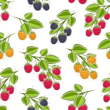 Vector Colorful Raspberry Branches seamless pattern Stock Illustration