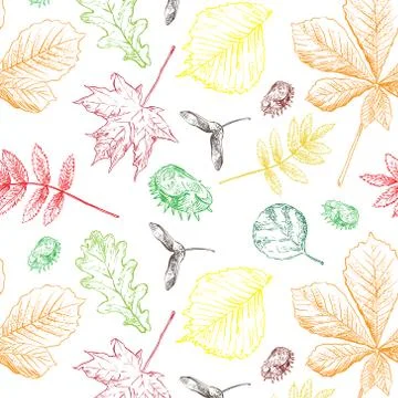 Vector colorful realistic decorative semless pattern foliage Stockillustratie