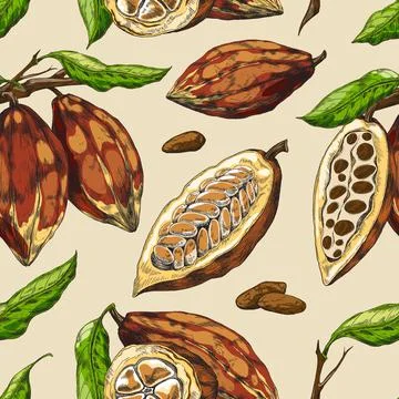 Vector colorful seamless background with cocoa beans on branches with leaves. 스톡 일러스트