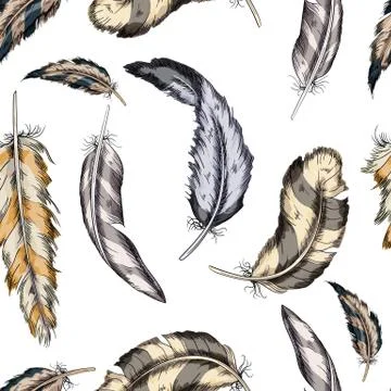 Vector colorful seamless pattern feathers bird on a white background. Stock Illustration