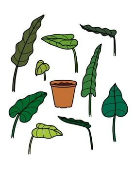 Vector colorful set of hand drawn houseplants with a pot. Decorative  floral  Stock Illustration