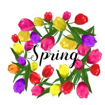 Vector colorful tulips frame. Isolated Stock Illustration