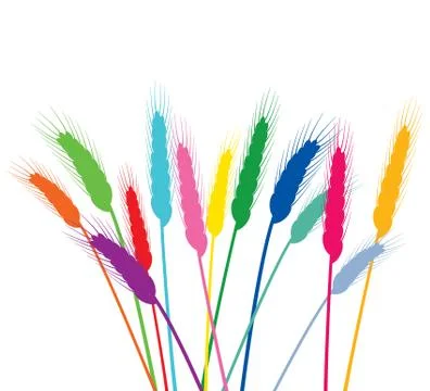 Vector colorful wheat ears Stock Illustration