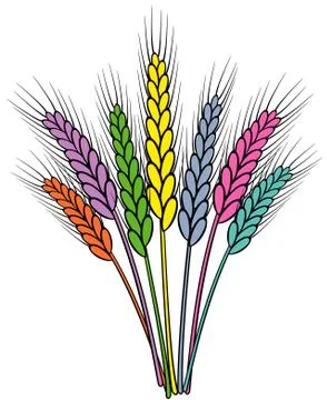 Vector colorful wheat ears Stock Illustration