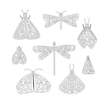 Vector coloring book page. Butterfly, moth, dragonfly illustrations. Line art Stock Illustration