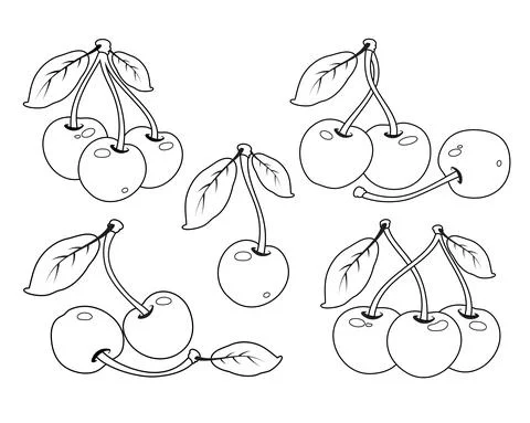 Vector colorless cherry set outline contour. Stock Illustration