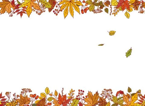 Vector colourful outline background sketch autumn leaves, cones, dried flowers 스톡 일러스트