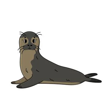 Vector Common or ringed seal lying, looking at the camera. Doodle cartoon out Stock Illustration