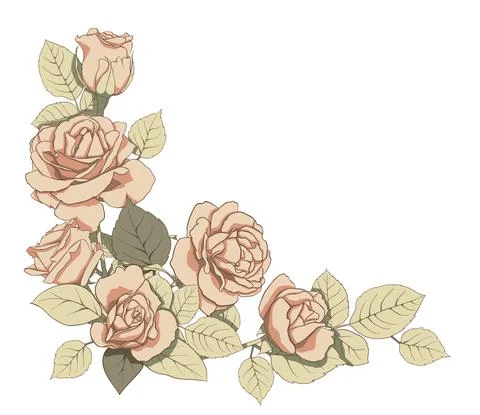 Vector composition of delicate roses and green leaves. Illustration for creat Stock Illustration