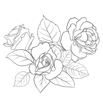 Vector composition of delicate roses and leaves. Contour illustration by hand Stock Illustration