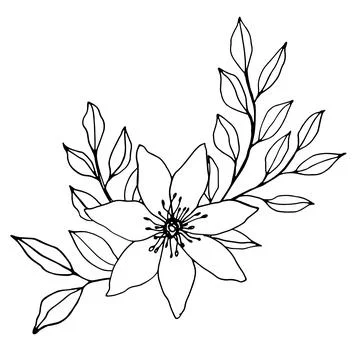 Vector composition with flower, leaves and branche. Elegant art for decoration Stock Illustration