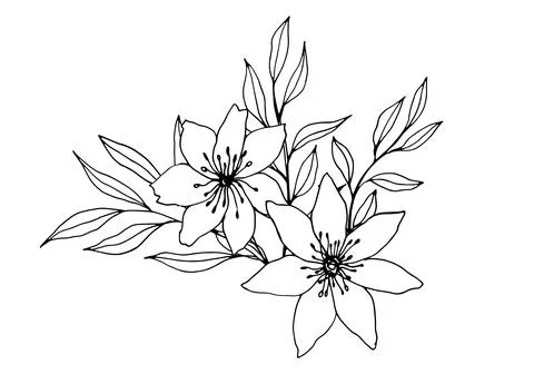 Vector composition with flower, leaves and branche. Elegant art for decoration Stock Illustration