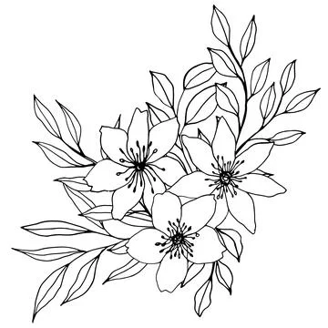 Vector composition with flower, leaves and branch. Elegant art for decoration Stock Illustration