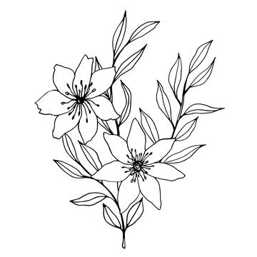 Vector composition with flower, leaves and branch. Elegant art for decoration Stock Illustration