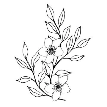 Vector composition with flower, leaves and branch. Elegant art for decoration Stock Illustration