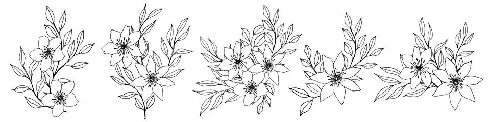Vector composition with flower, leaves and branch. Elegant art for decoration Stock Illustration