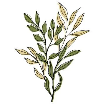 Vector composition with flower, leaves and branch. Elegant art for decoration Stock Illustration