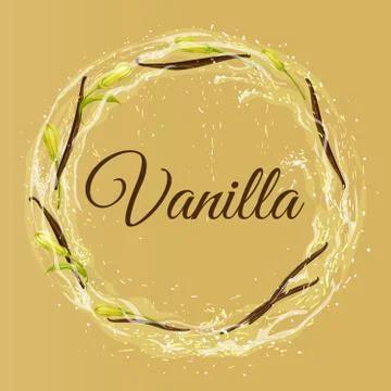 Vector composition in the form of a frame of vanilla powder, buds and vanil.. Stock Illustration