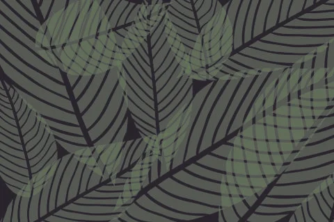 Vector composition of green alpha transparent stylized leaves on a black back Stock Illustration