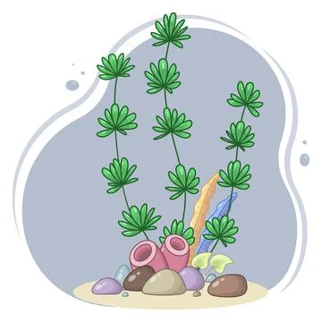 Vector composition of green seaweeds, red corals, colorful stones Stock Illustration