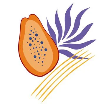 Vector Composition of half papaya and palm leaves isolated. Ripe papaya with Stock Illustration
