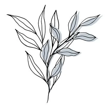Vector composition with leaves and branch. Elegant art for decoration. ink hand Stock Illustration