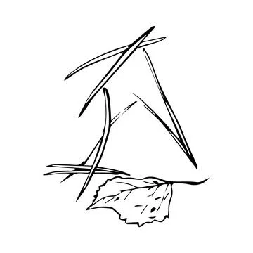 Vector composition of pine needles and autumn leaf, set of pine needles dra.. Stock Illustration