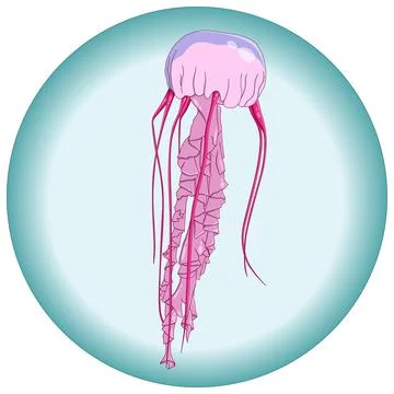 Vector composition of pink jellyfish underwater Stock Illustration