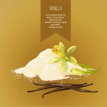 Vector composition of vanilla powder, vanilla sticks, and flower with buds. Stock Illustration