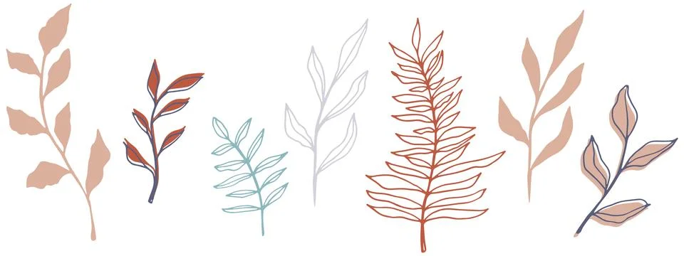 Vector contour branch and leaves for harvest festival poster. Elegant silhouette Stock Illustration