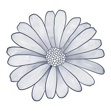 Vector contour decorative flower. Blue element on a white background Stock Illustration