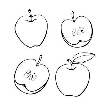 Vector contour drawing of whole and cut in half apple in doodle style. Hand-d Stock Illustration