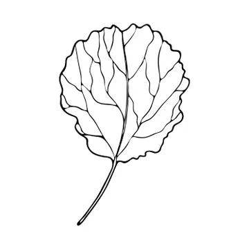 Vector contour leaf Stock Illustration