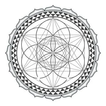 Vector contour monochrome design mandala sacred geometry illustration seed of Stock Illustration