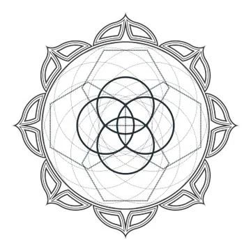 Vector contour monochrome design mandala sacred geometry illustration seed of Illustrazione stock