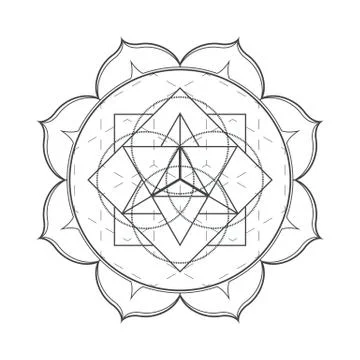 Vector contour monochrome design mandala sacred geometry illustration seed of Stock Illustration