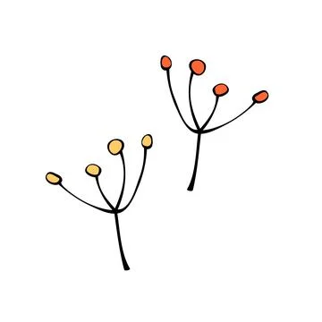 Vector contour twigs with berries or seeds, abstract inflorescence, fruits, d Illustrazione stock