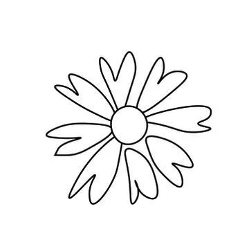 Vector contoured chamomile with black line.Romantic botany Stock Illustration