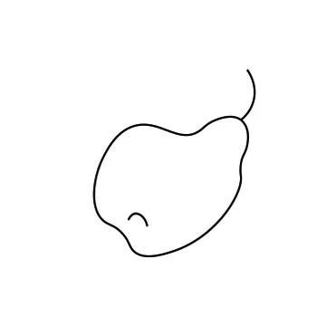 Vector contoured pear with black line.Romantic food decorating doodle style. Stock Illustration