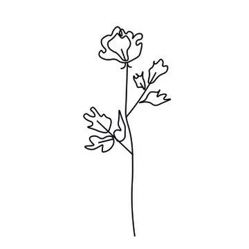 Vector contoured rose black line. Romantic floral decoration doodle style Stock Illustration