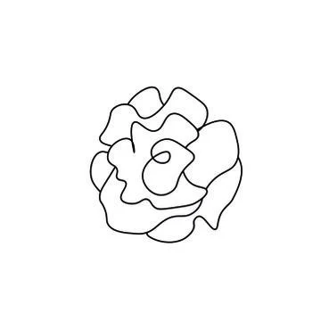 Vector contoured rose black line. Romantic floral decoration doodle style. Stock Illustration