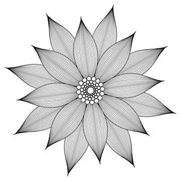 Vector contouring flower mandala. Linear drawing. Tattoo Stock Illustration