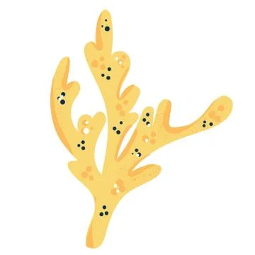 Vector coral. Bright sea element isolated on white. Beautiful underwater flora Stock Illustration